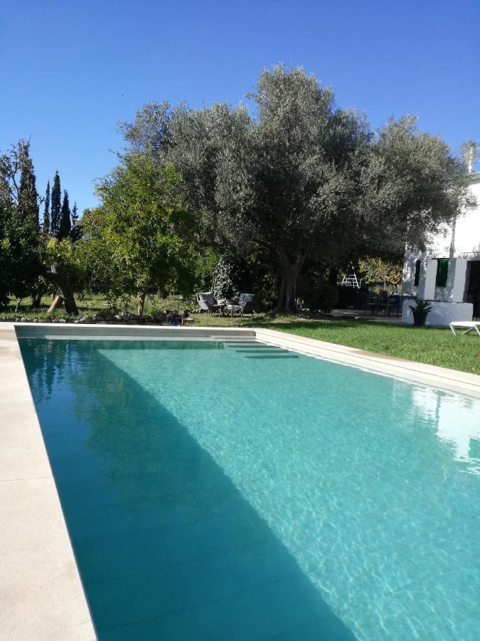 Ferienhaus Dameto Binissalem